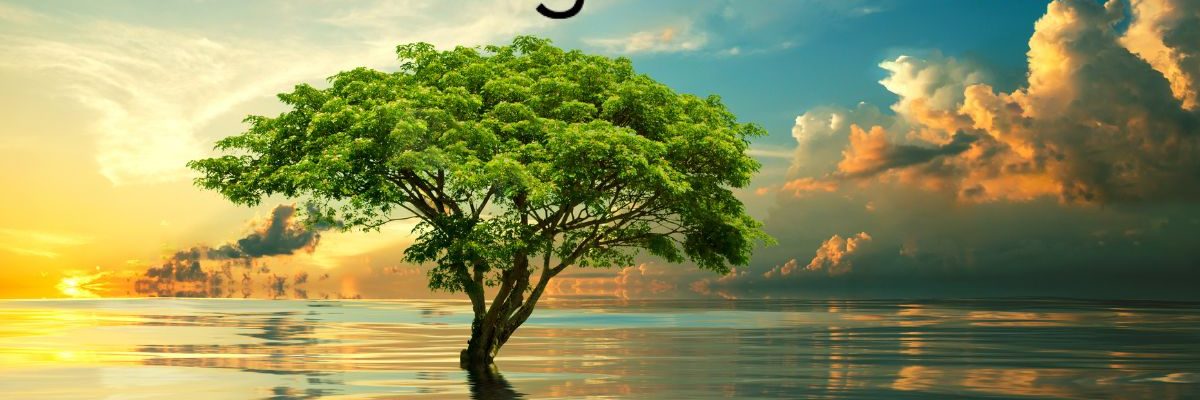 Cegedim.cloud reçoit la certification ISO 50001 : Un engagement fort pour l'écologie et de l'efficacité énergétique