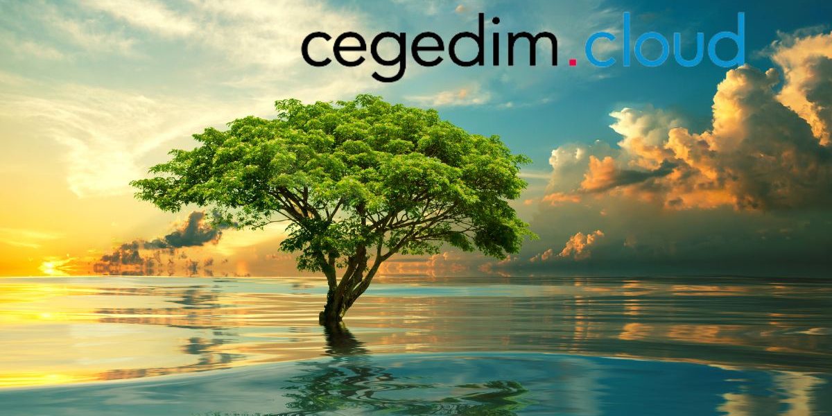 Cegedim.cloud reçoit la certification ISO 50001 : Un engagement fort pour l'écologie et de l'efficacité énergétique