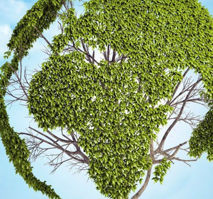 Solutions de Cloud Écoresponsables