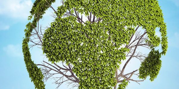 Solutions de Cloud Écoresponsables